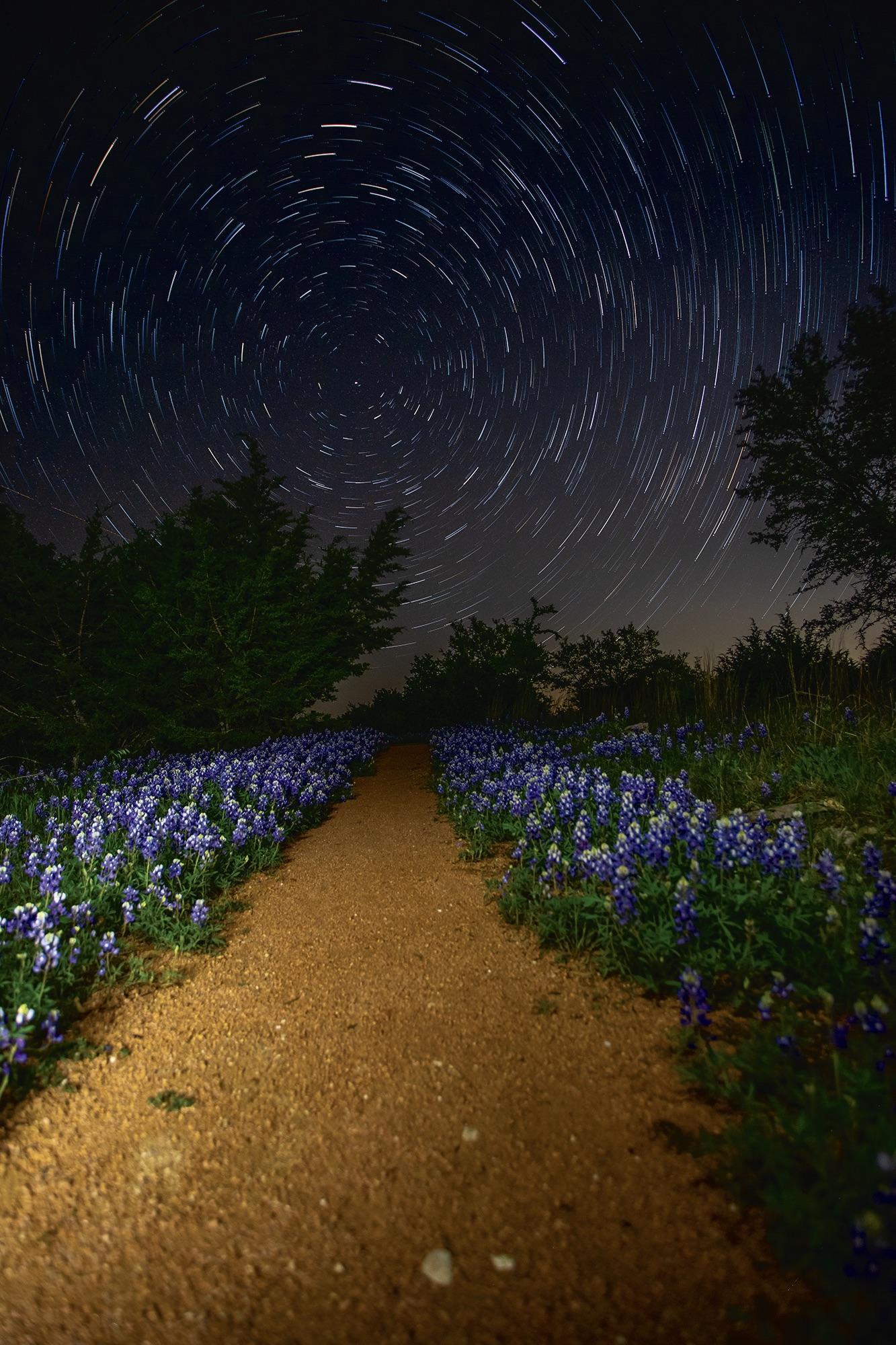 The North Star above a blue bonnet trail at DS Ranch Park. “I took the photo on a trail most people don’t know about because it doesn’t lead anywhere. It’s always covered on both side by blue bonnets, and I noticed the North Star was centered directly above it,” Moreno said.